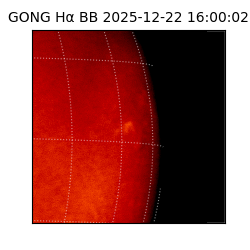 gong - 2025-12-22T16:00:02
