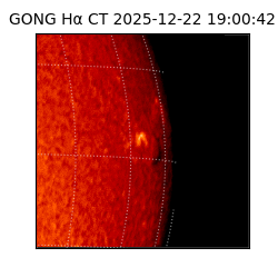 gong - 2025-12-22T19:00:42