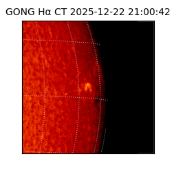 gong - 2025-12-22T21:00:42
