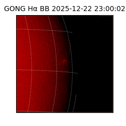 gong - 2025-12-22T23:00:02