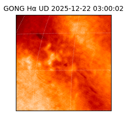 gong - 2025-12-22T03:00:02
