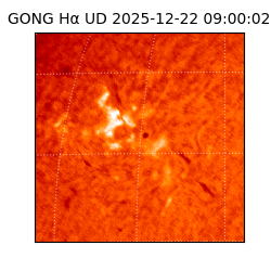 gong - 2025-12-22T09:00:02