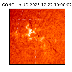 gong - 2025-12-22T10:00:02