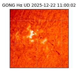 gong - 2025-12-22T11:00:02