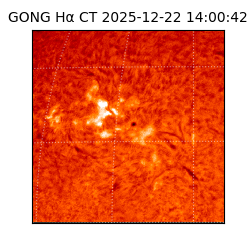 gong - 2025-12-22T14:00:42