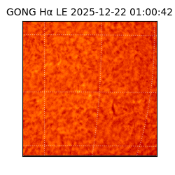 gong - 2025-12-22T01:00:42