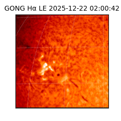 gong - 2025-12-22T02:00:42
