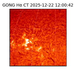 gong - 2025-12-22T12:00:42