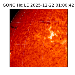 gong - 2025-12-22T01:00:42