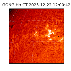 gong - 2025-12-22T12:00:42