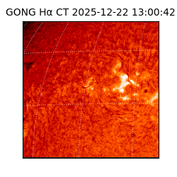 gong - 2025-12-22T13:00:42