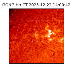 gong - 2025-12-22T14:00:42