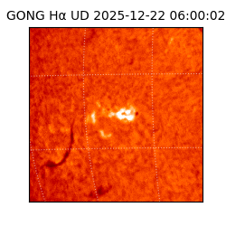 gong - 2025-12-22T06:00:02