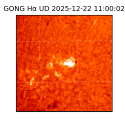 gong - 2025-12-22T11:00:02