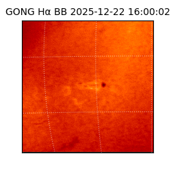 gong - 2025-12-22T16:00:02