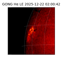 gong - 2025-12-22T02:00:42