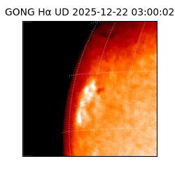 gong - 2025-12-22T03:00:02