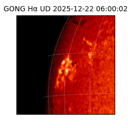 gong - 2025-12-22T06:00:02