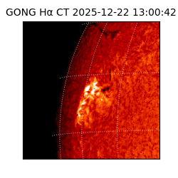gong - 2025-12-22T13:00:42