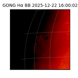 gong - 2025-12-22T16:00:02