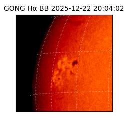 gong - 2025-12-22T20:04:02