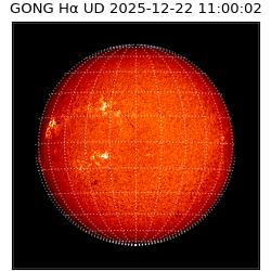 gong - 2025-12-22T11:00:02