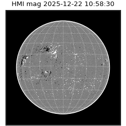 shmi - 2025-12-22T10:58:30