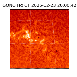 gong - 2025-12-23T20:00:42