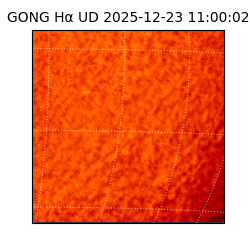 gong - 2025-12-23T11:00:02