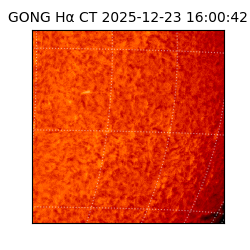 gong - 2025-12-23T16:00:42