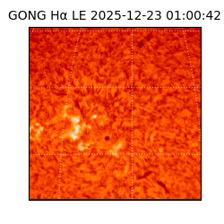 gong - 2025-12-23T01:00:42