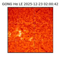 gong - 2025-12-23T02:00:42