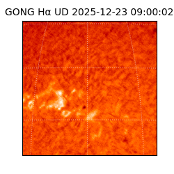 gong - 2025-12-23T09:00:02