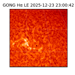 gong - 2025-12-23T23:00:42