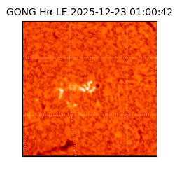 gong - 2025-12-23T01:00:42