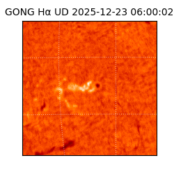 gong - 2025-12-23T06:00:02