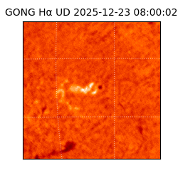 gong - 2025-12-23T08:00:02