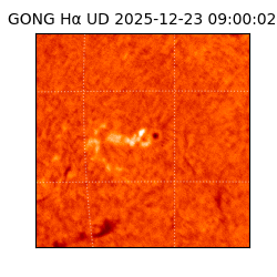 gong - 2025-12-23T09:00:02