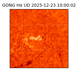 gong - 2025-12-23T10:00:02