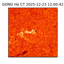 gong - 2025-12-23T12:00:42