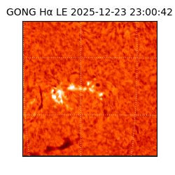 gong - 2025-12-23T23:00:42