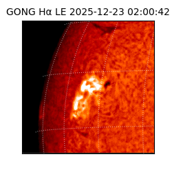 gong - 2025-12-23T02:00:42