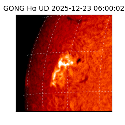 gong - 2025-12-23T06:00:02