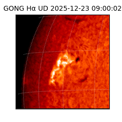 gong - 2025-12-23T09:00:02