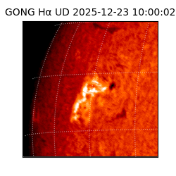 gong - 2025-12-23T10:00:02