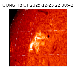 gong - 2025-12-23T22:00:42