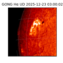 gong - 2025-12-23T03:00:02