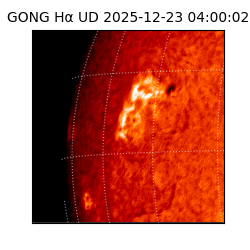 gong - 2025-12-23T04:00:02