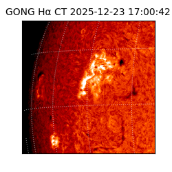 gong - 2025-12-23T17:00:42