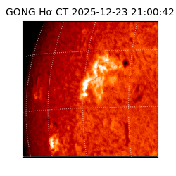 gong - 2025-12-23T21:00:42
